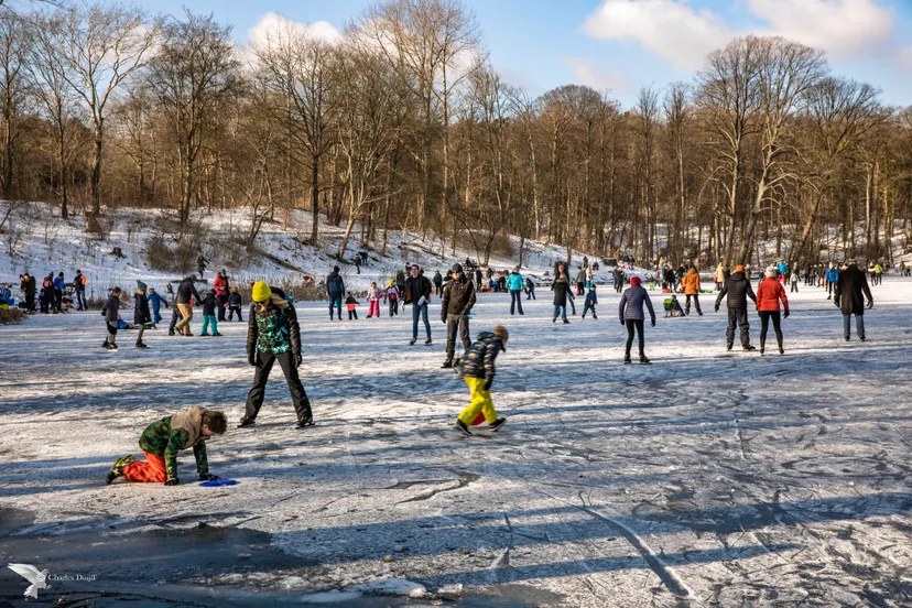 brouwerskolk overzicht