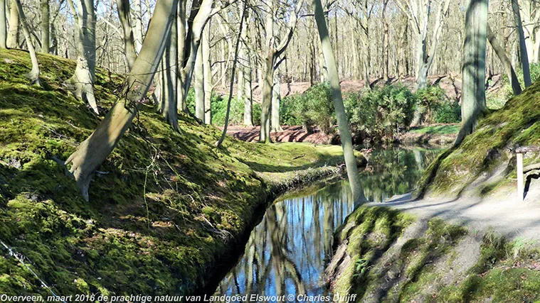 elswoutbrug