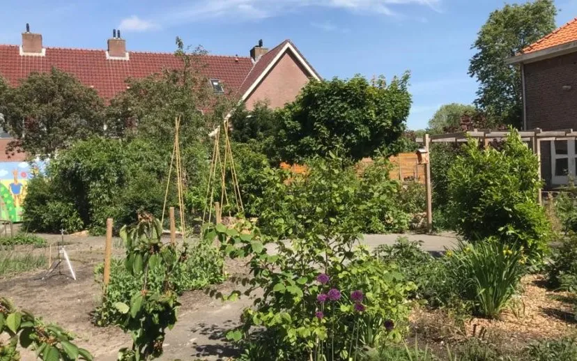 foto buurttuin mei 2020 915x518 1