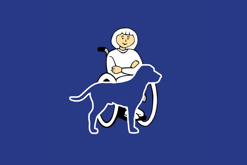 handicap g26b8cda93 1920 kopieren