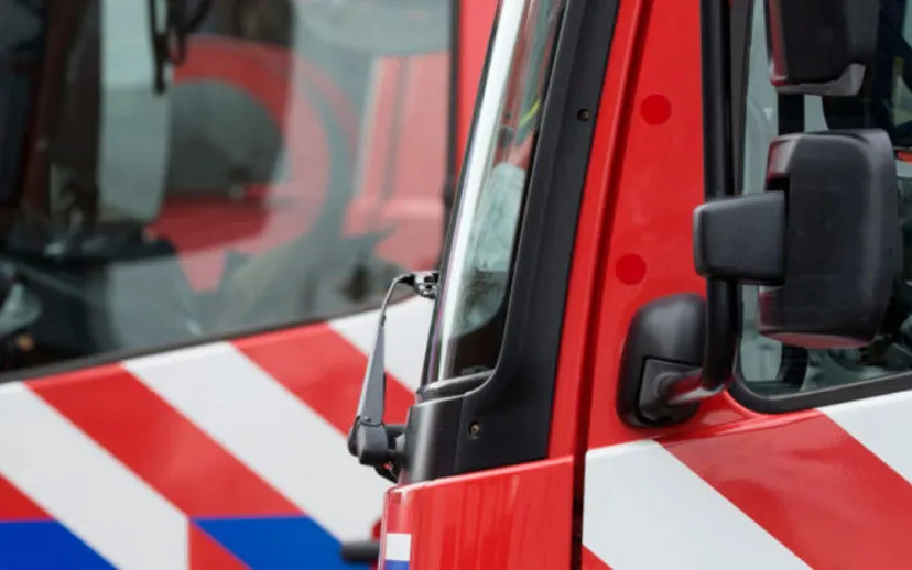 i5a0094 brandw 1000 915x518 1