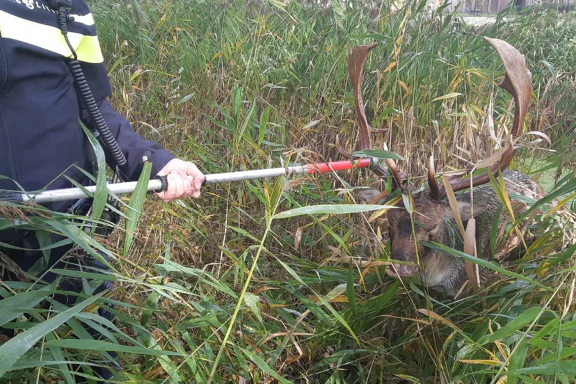 images b23e5660d234c8dad48ca91a40b648e6