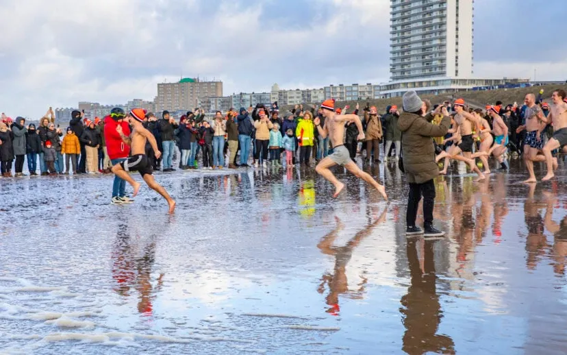 los fraai art 915x518 cover