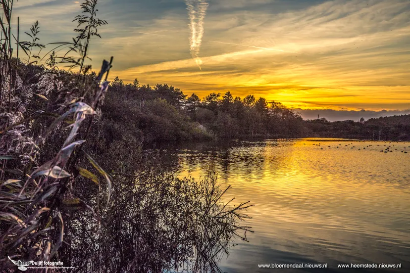 meer bij bokkedoorns1