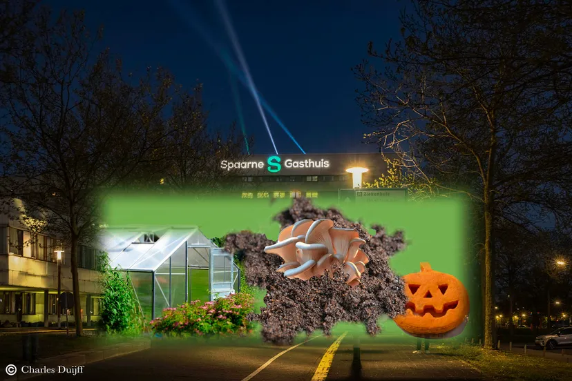 spaarne gasthuis voedsel