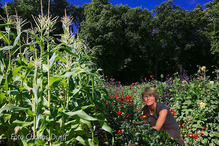 tuin plus margakopieklein