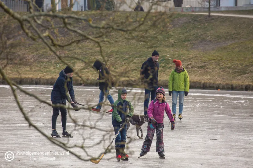 uitgelicht schotersingel