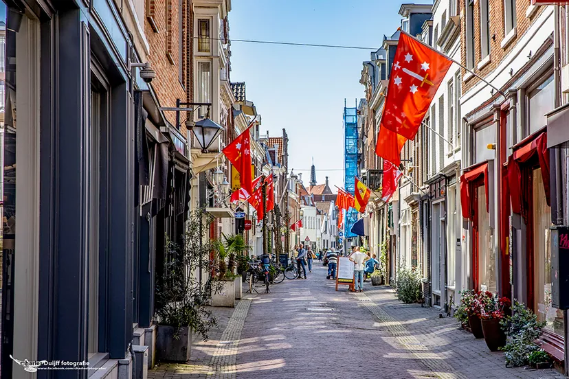 vlaggen haarlem 175k