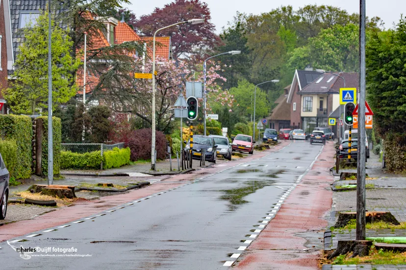 vogelenzangseweg dorp