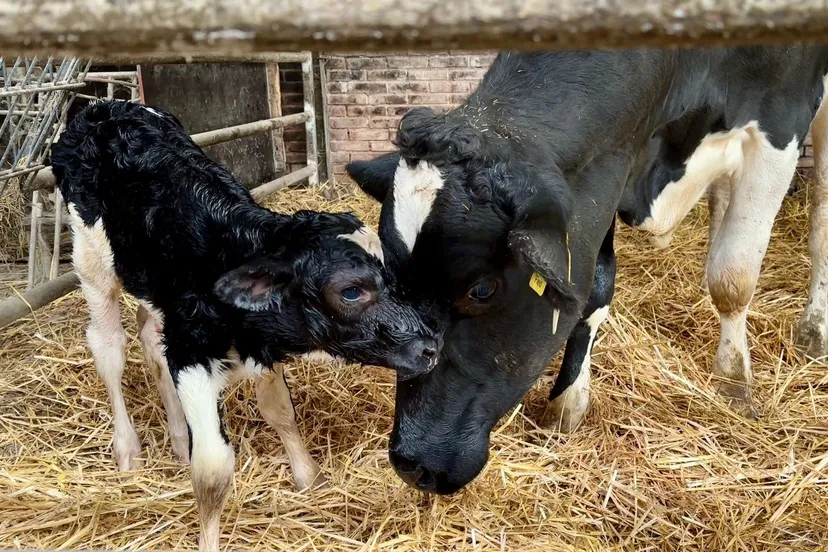 whatsapp image 2023 11 04 at 171809 1