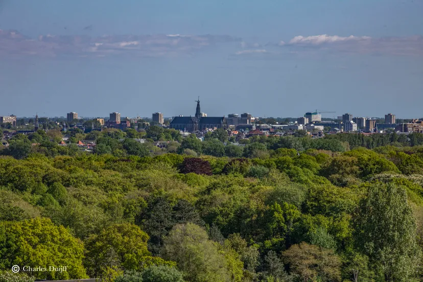 zicht op haarlem4