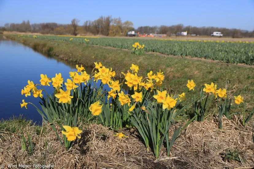 277079753 10222599165833895 9043768679608072491 n