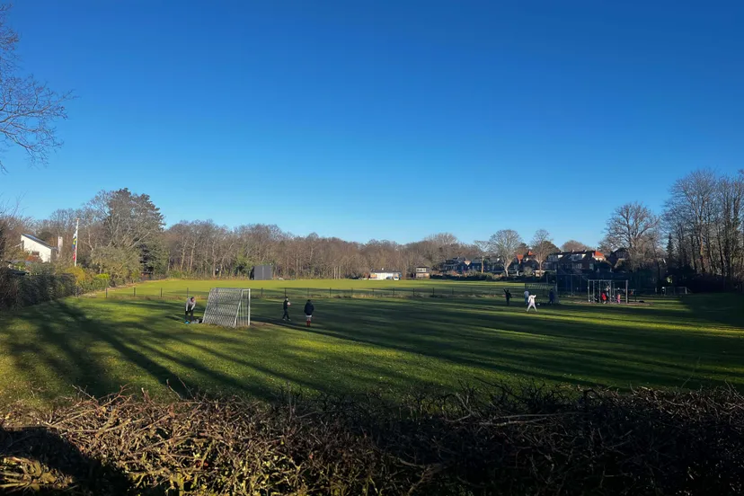 e3d11d85deaf57a720d2-zomerzorgerlaan-cricketveld