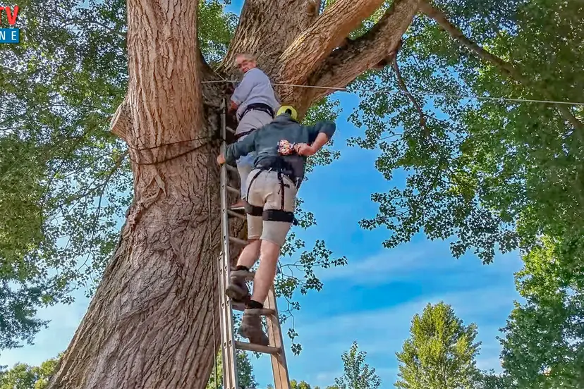 WIENEN boom
