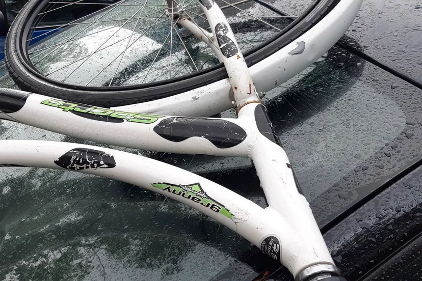 285576024 395380579297271 3772937400666471967 n