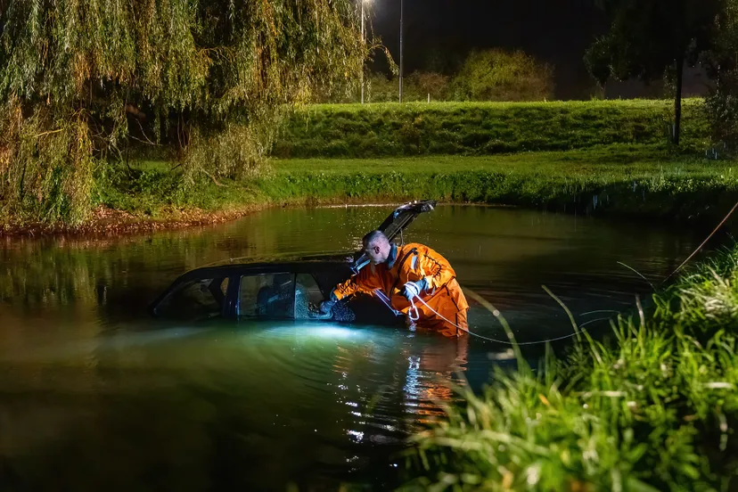 avp02307 denoiseai standard