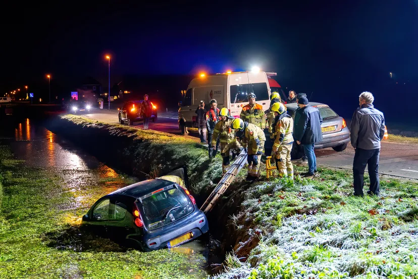 avp03423 denoiseai standard