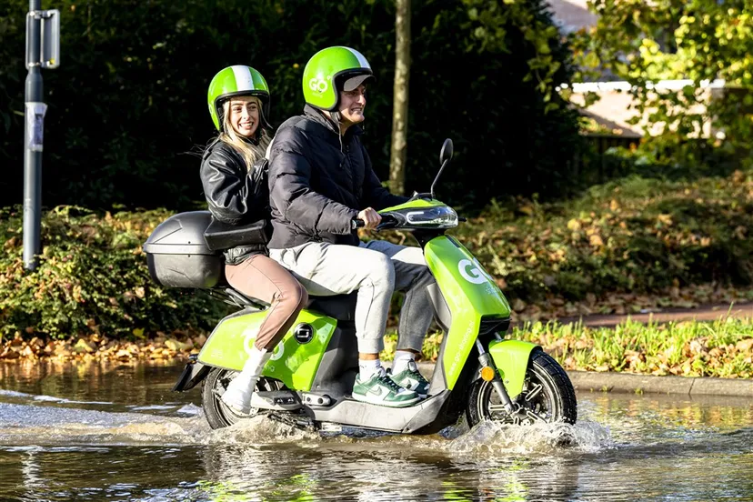 download 114254 s1000x1000