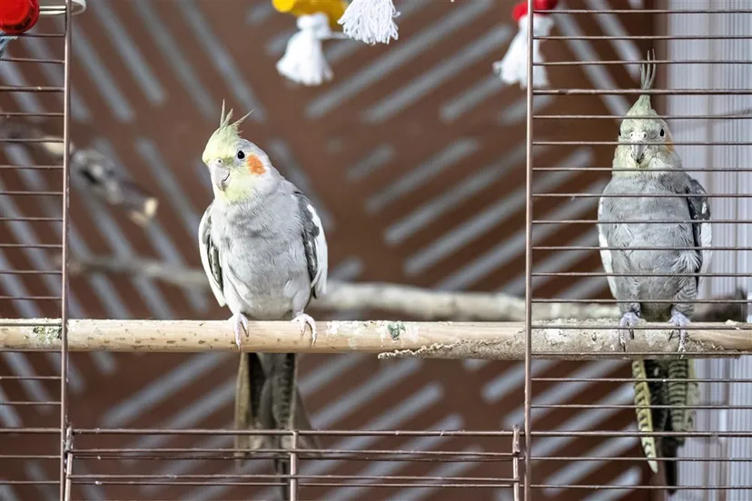 download 118574 s1000x1000