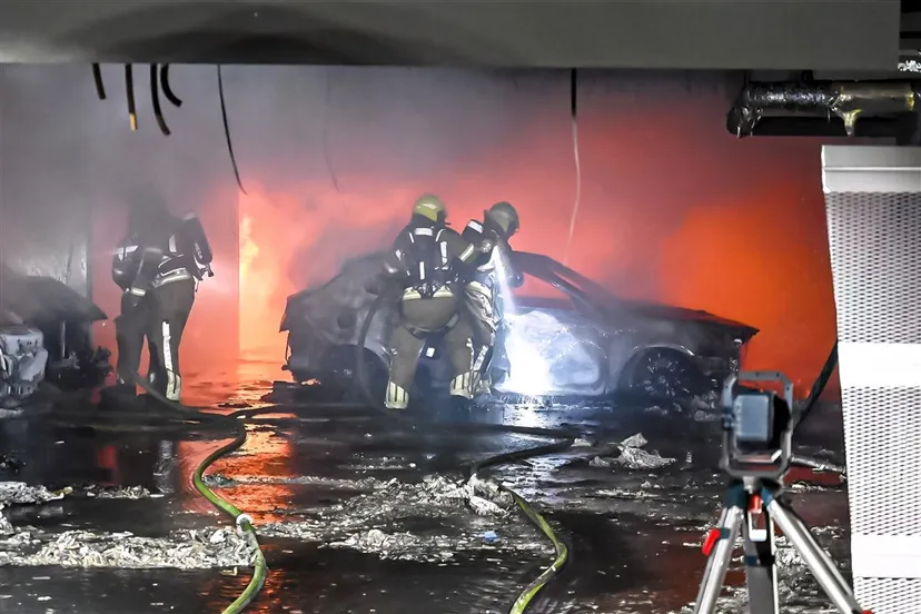 download 119123 s1000x1000