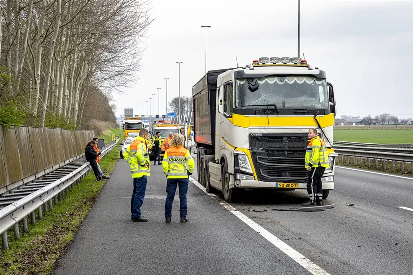 download 125391 s1000x1000