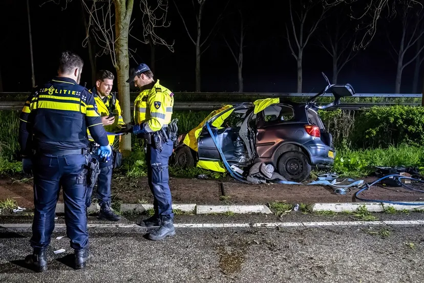 download 127685 s1000x1000