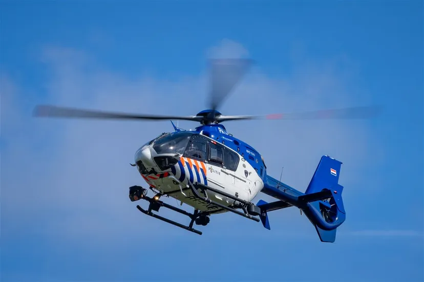 download 138381 s1000x1000