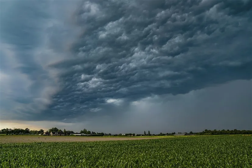 download 69294 s1000x1000