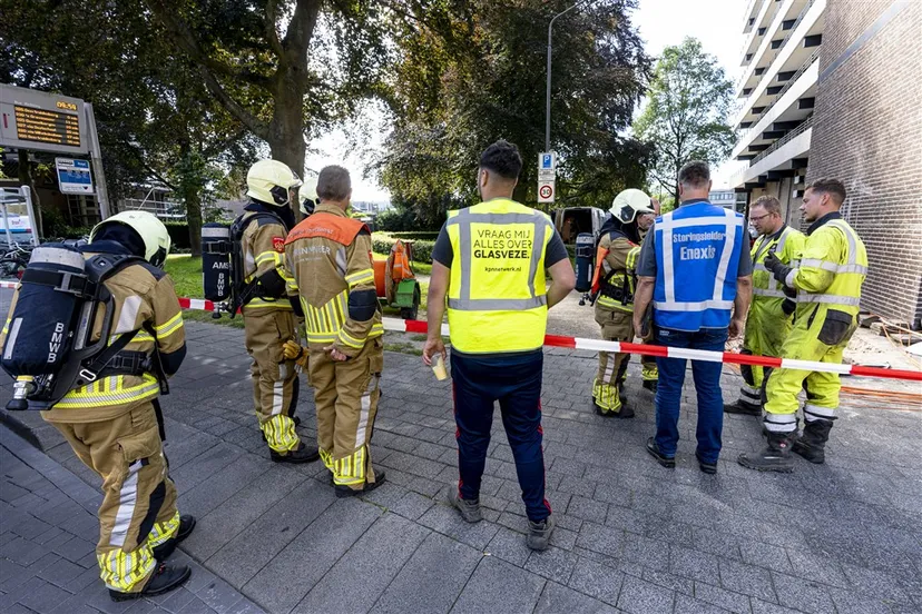 download 94662 s1000x1000