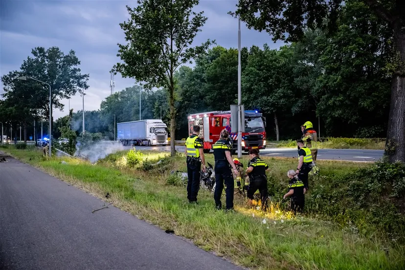 download 95392 s1000x1000