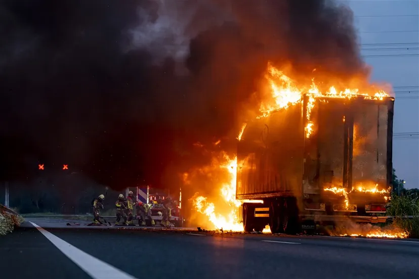 download 95850 s1000x1000