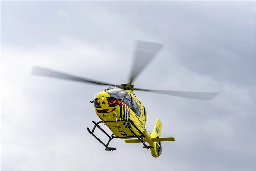 download scaled 1000x1000 22134