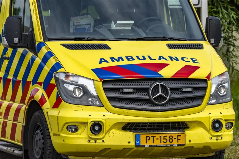 download scaled 1000x1000 22279