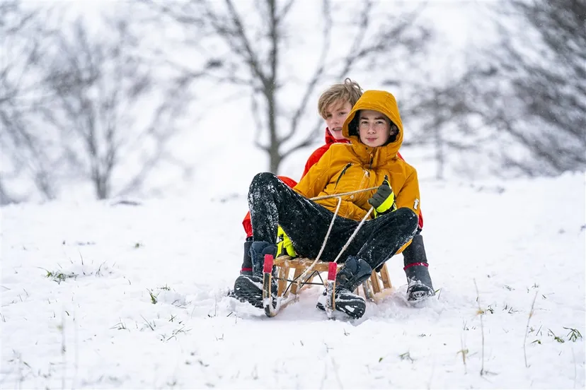 download scaled 1000x1000 23431