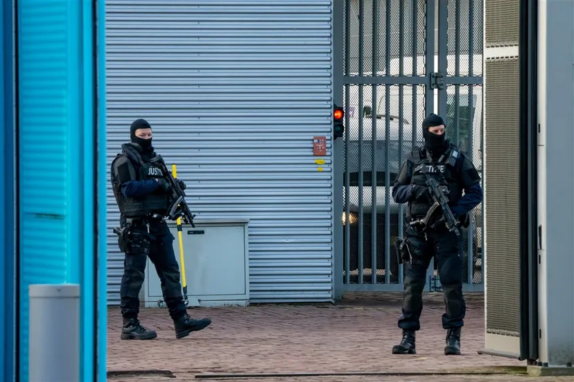 download scaled 1000x1000 23913