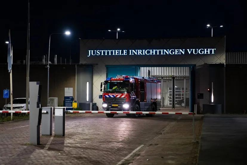 download scaled 1000x1000 24254