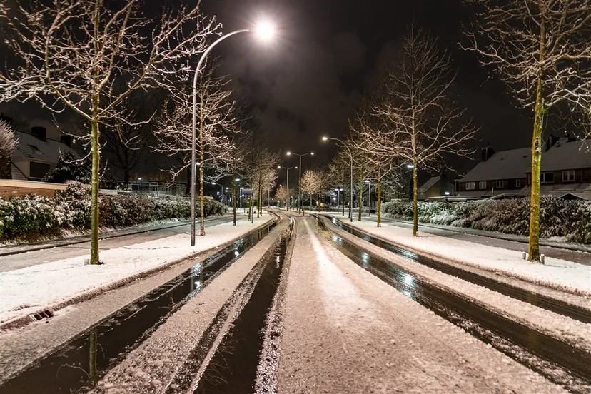 download scaled 1000x1000 28058