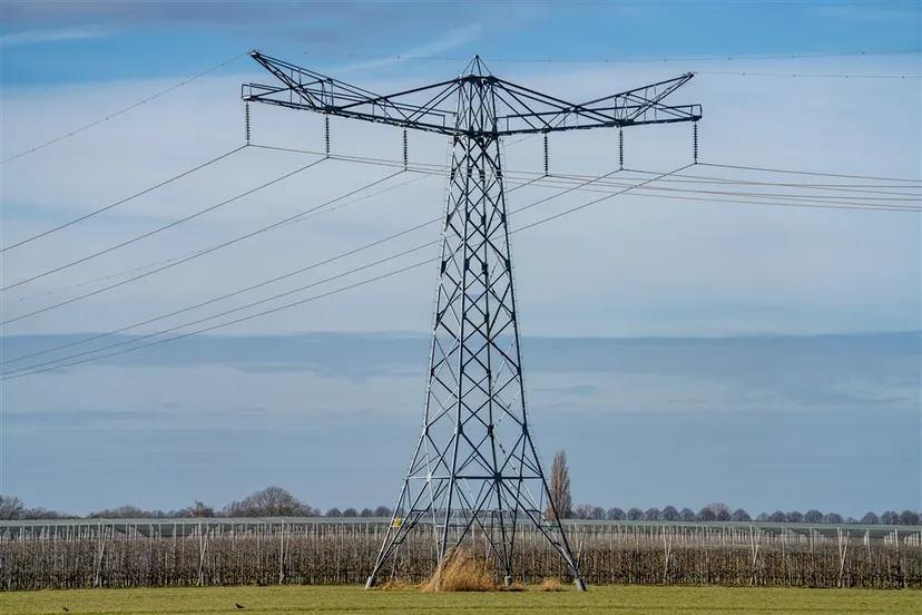 download scaled 1000x1000 37665