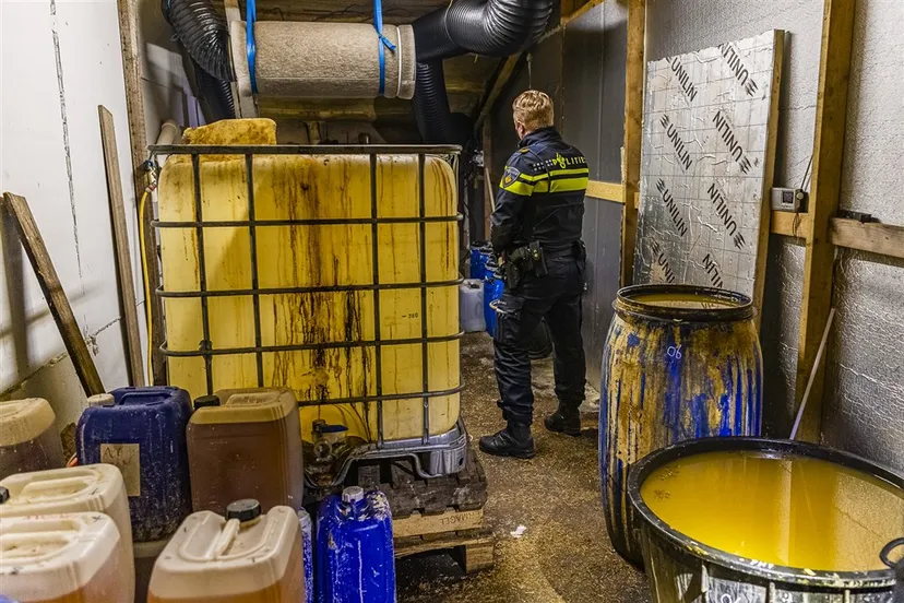 download scaled 1000x1000 43738