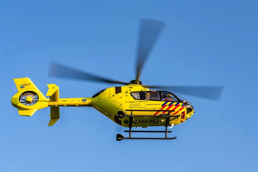 download scaled 1000x1000 44374