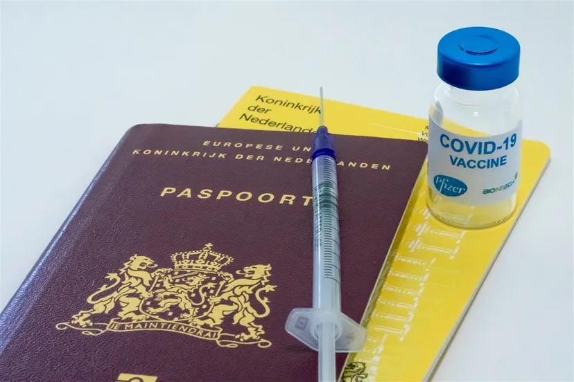 download scaled 1000x1000 47648