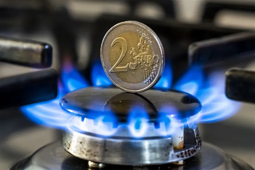 download scaled 1000x1000 62957