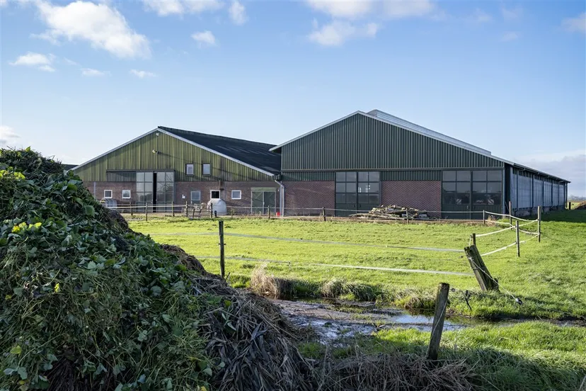 download scaled 1000x1000 68636