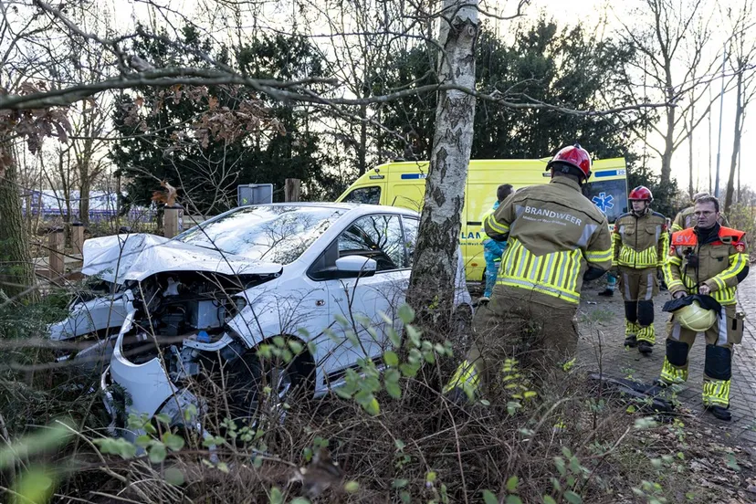 download scaled 1000x1000 68645