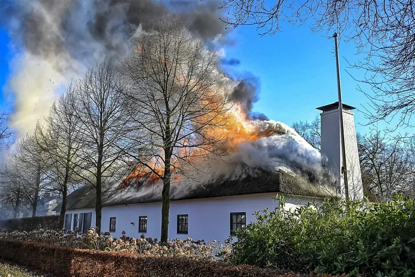 download scaled 1000x1000 68651