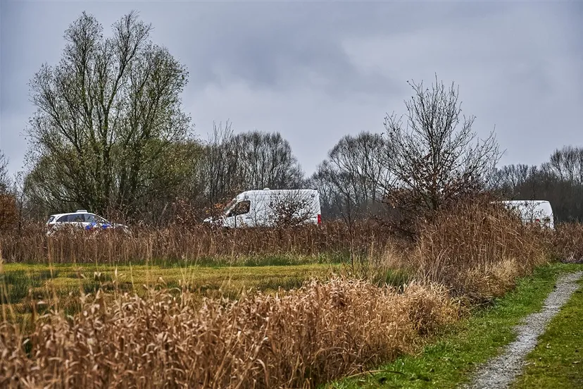 download scaled 1000x1000 68767