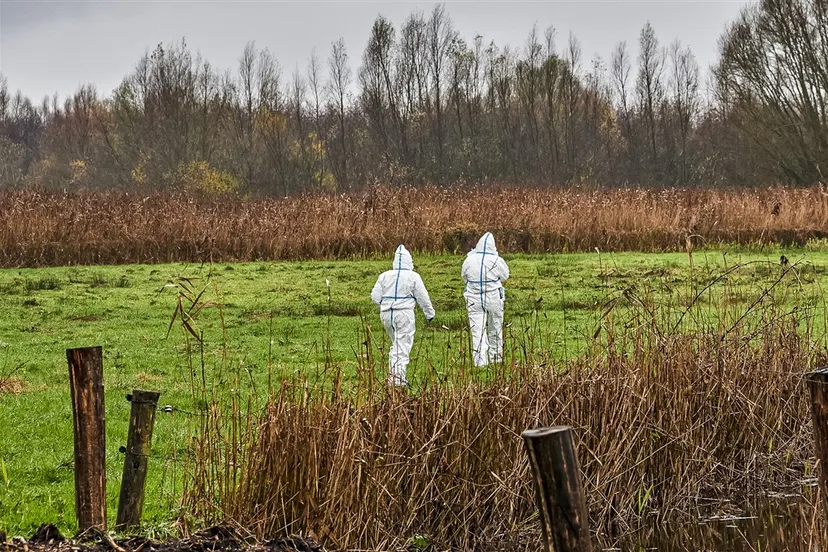 download scaled 1000x1000 68768