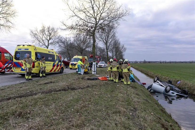 download scaled 1000x1000 70203