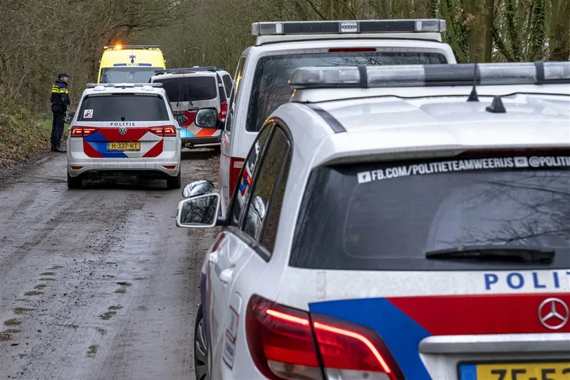 download scaled 1000x1000 73570