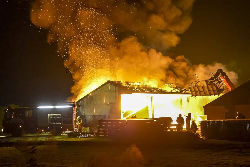 download scaled 1000x1000 74022